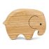 shaker-green-tones-elefant-naturel-_0001.jpg