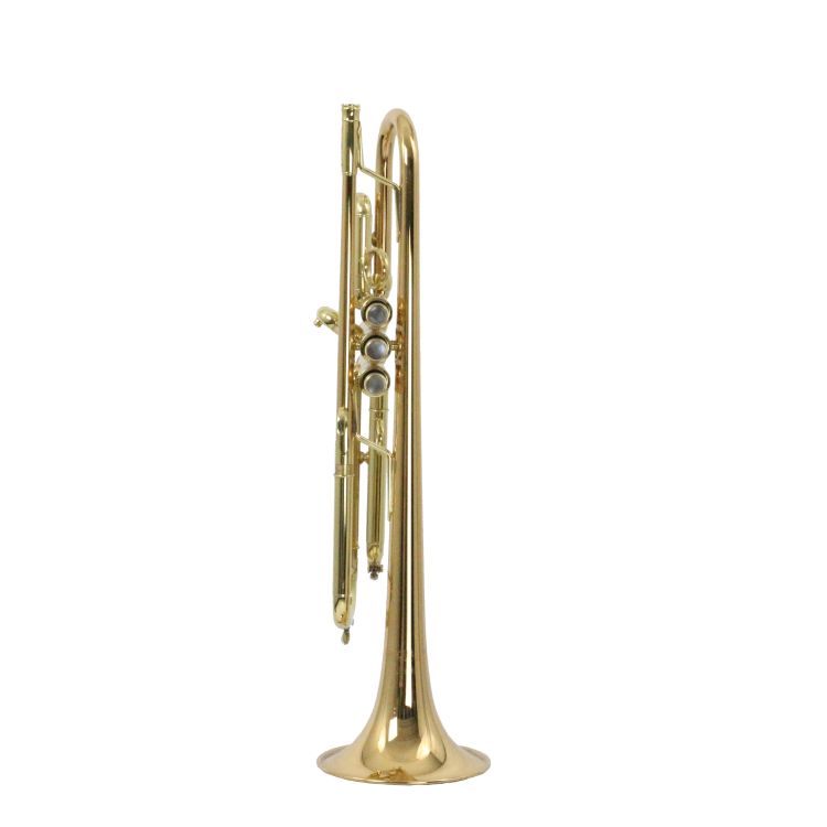 trompette-en-si-bemol-carol-brass-junior-laque-dor_0002.jpg