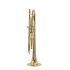 trompette-en-si-bemol-carol-brass-junior-laque-dor_0002.jpg