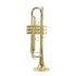 trompette-en-si-bemol-carol-brass-junior-laque-dor_0003.jpg