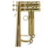 trompette-en-si-bemol-carol-brass-junior-laque-dor_0005.jpg