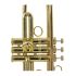 trompette-en-si-bemol-carol-brass-junior-laque-dor_0006.jpg