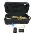 trompette-en-si-bemol-carol-brass-junior-laque-dor_0007.jpg