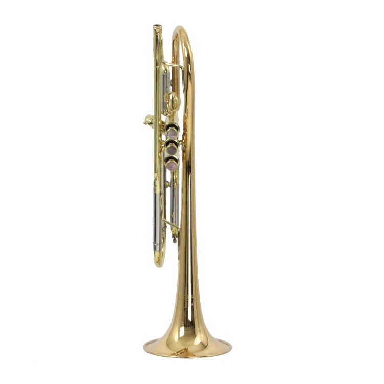 trumpet-in-bb-carol-brass-up-lacquered-gold-_0002.jpg