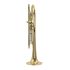 trumpet-in-bb-carol-brass-up-lacquered-gold-_0002.jpg