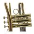trumpet-in-bb-carol-brass-up-lacquered-gold-_0007.jpg