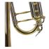 trumpet-in-bb-carol-brass-up-lacquered-gold-_0008.jpg