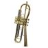 trumpet-in-bb-carol-brass-up-lacquered-gold-_0009.jpg