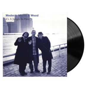 its-a-jungle-in-here-medeski-martin--wood-real-gon_0001.JPG