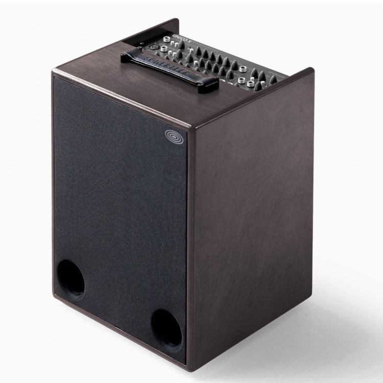 amplificateur-multi-instruments-schertler-modele-u_0001.jpg