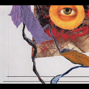 memories-dreams-and-reflections-zorn-john--dave-lo_0001.JPG