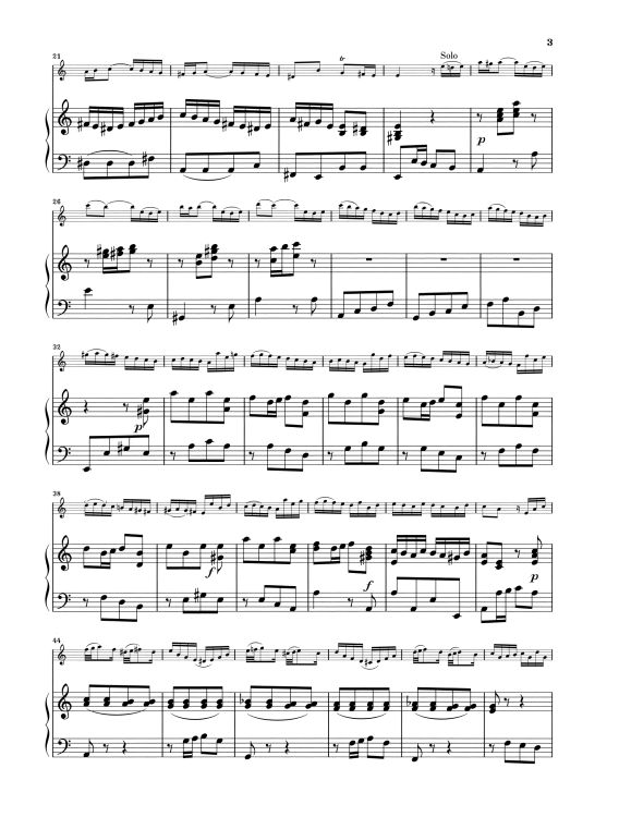 johann-sebastian-bach-violinkonzert-leicht-beschaed_0005.jpg