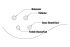 basse-electrique-ibanez-modele-sr4-mezzo-standard-_0005.jpg