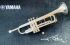 trumpet-in-bb-yamaha-chicago-p-ottiger-ytr-9335chs_0002.jpg