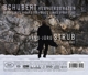 klaviersonaten-d-959--960-hans-juerg-strub-piano-a_0002.JPG