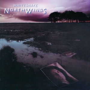 northwindsblack-ice-vinyl-whitesnake-rhino-lp-anal_0001.JPG