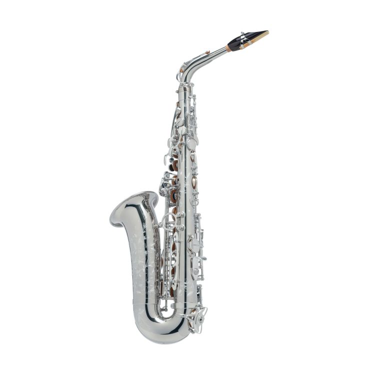 alt-saxophon-selmer-supreme-versilbert-_0002.jpg