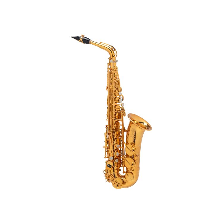 alt-saxophon-selmer-supreme-vergoldet-gold-_0001.jpg