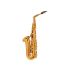 alt-saxophon-selmer-supreme-vergoldet-gold-_0002.jpg