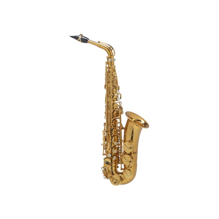 alt-saxophon-selmer-supreme-lackiert-_0002.jpg