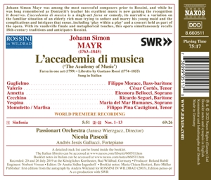 laccademia-di-musica-passionart-orchestra-nicola-p_0002.JPG