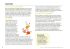 tine-fris-ronsfeld-kristoffer-fynbo-thoring-warmin_0002.jpg