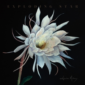 exploding-star-maloney-heather-signature-sounds-lp_0001.JPG
