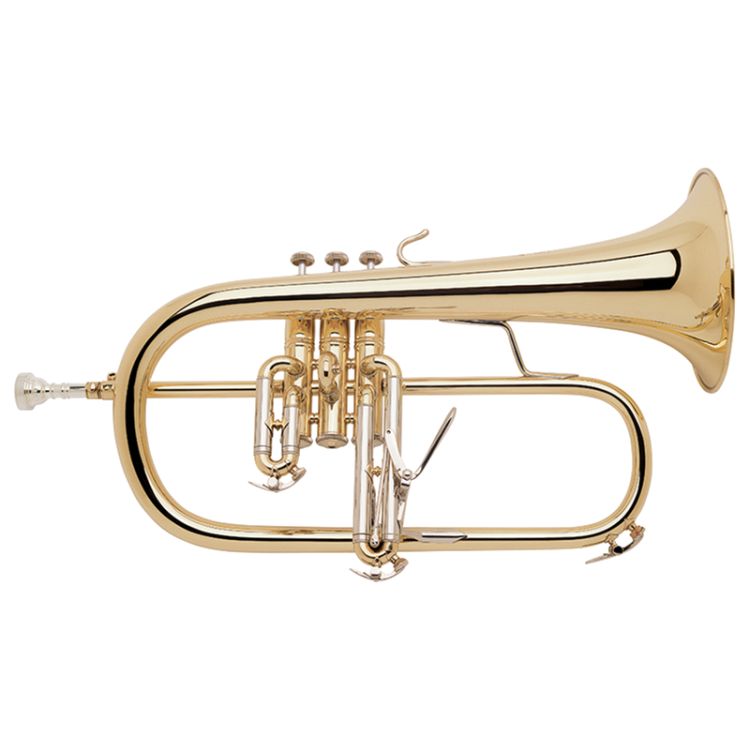 bugle-bach-183-laque_0001.jpg