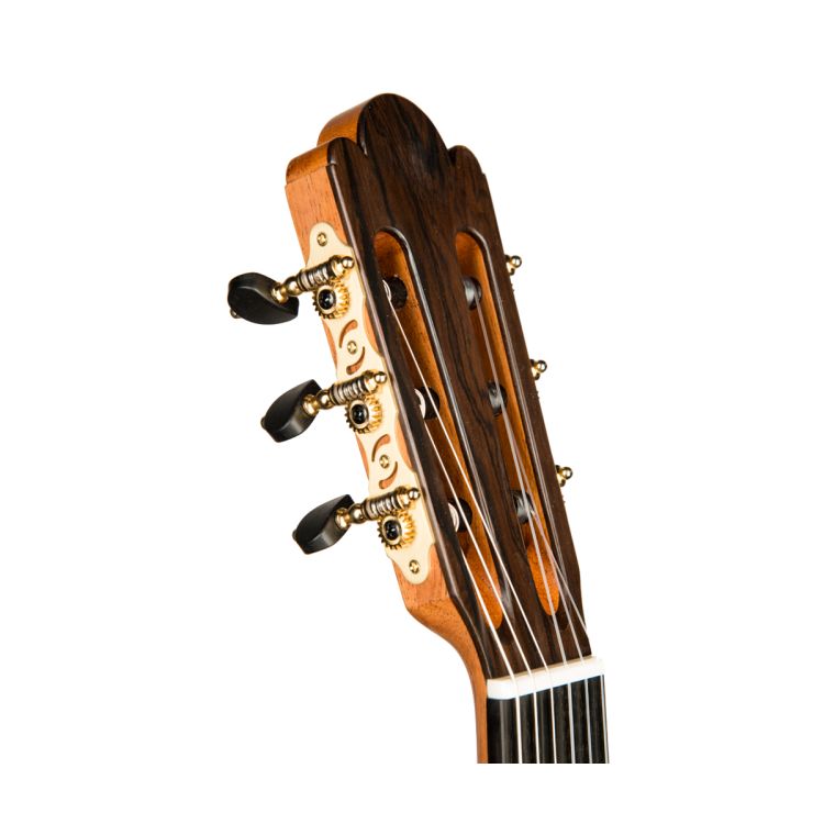 guitare-classique-duke-modele-artist-torres-gf-nat_0004.jpg