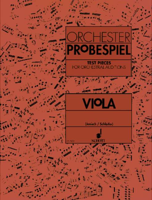 orchester-probespiel-va-_0001.JPG