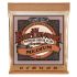 ernie-ball-saitensatz-earthwood-medium-13-56-zubeh_0001.jpg