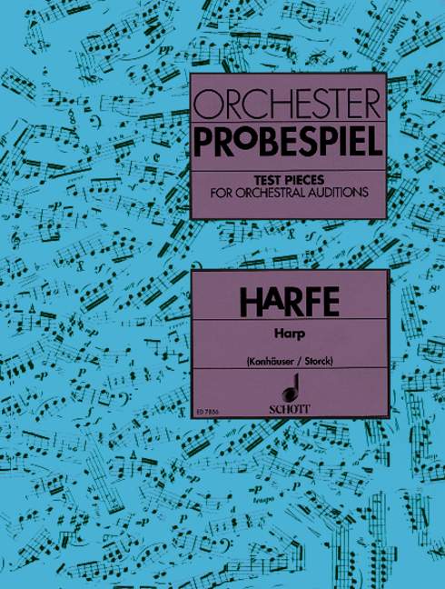 orchester-probespiel-hp-_0001.JPG