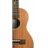 concertukulele-leho-modell-lhuc-asm-mahagoni-massi_0005.jpg