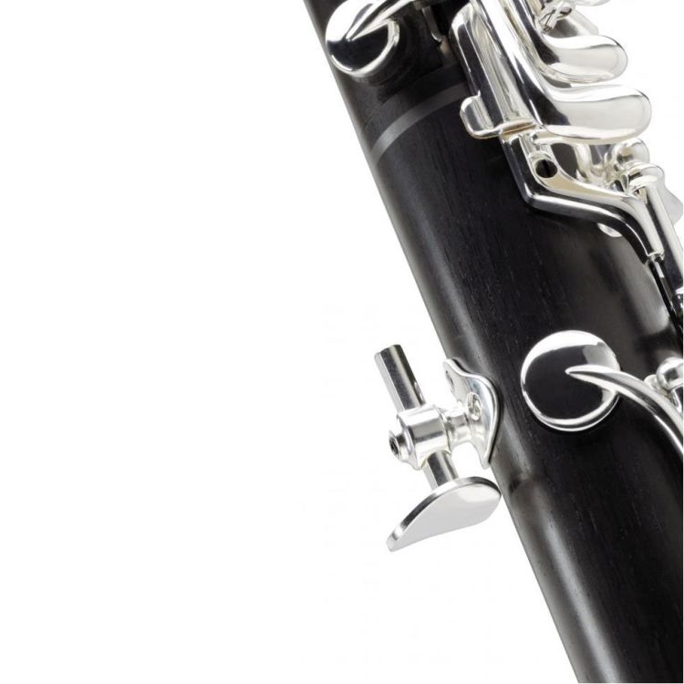 bb-klarinette-buffet-crampon-divine-19-klappen-ink_0003.jpg