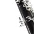 bb-klarinette-buffet-crampon-divine-19-klappen-ink_0003.jpg