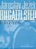 jaroslav-jezek-bugatti-step-pno-_0001.JPG