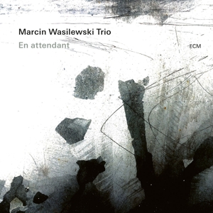 en-attendant-marcin-wasilewski-trio-ecm-lp-analog-_0001.JPG