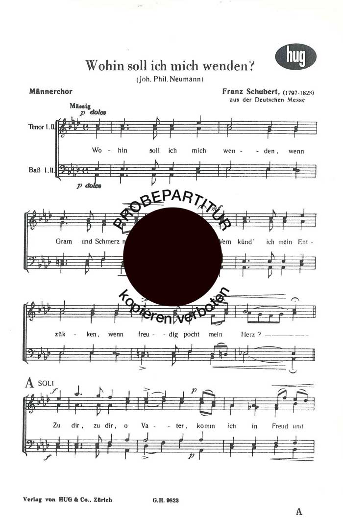 franz-schubert-wohin-soll-ich-mich-wenden-mch-_0001.JPG
