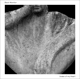 snake-of-my-heart-black-monitor-ikarus-records-lp-_0001.JPG