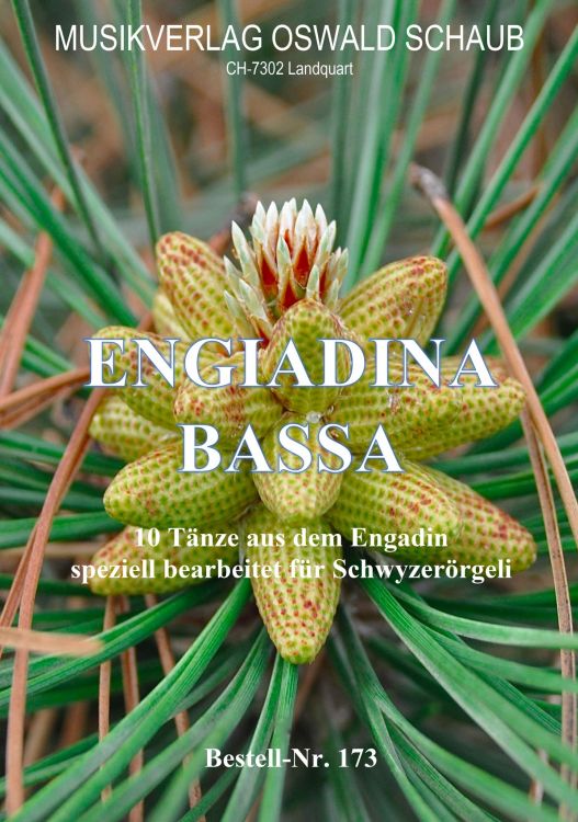 engiadina-bassa-schworg-_0001.jpg