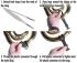 instruments-a-vent-en-cuivre-neotech-brass-sling-n_0002.jpg