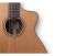 klassische-gitarre-furch-modell-gnc-2-cw-eas-vtc-n_0006.jpg