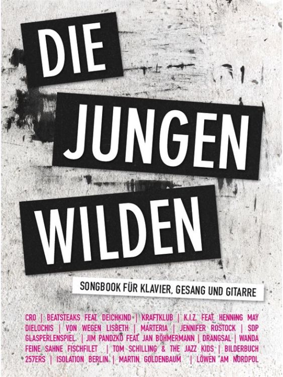 die-jungen-wilden-ges-pno-_0001.jpg