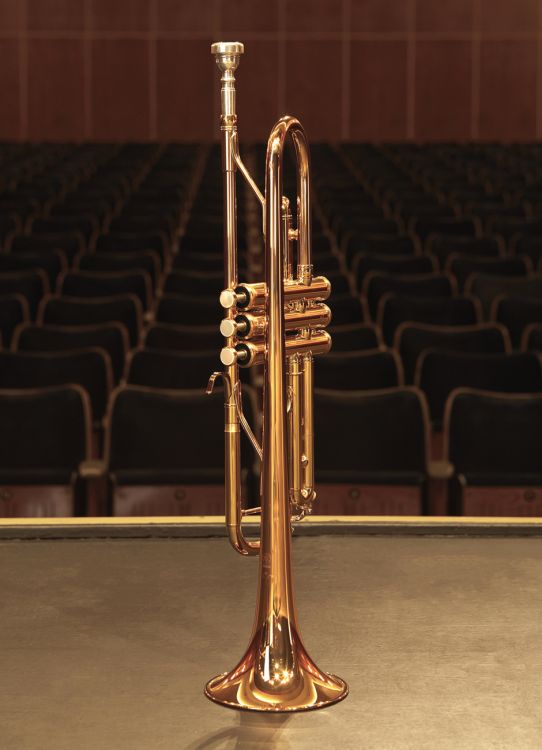 trumpet-in-bb-yamaha-ytr-6335rc-lacquered-gold-_0003.jpg