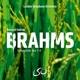 symphonies-nos-1-4-haitink-bernard-lso-lso-sacd-_0001.JPG