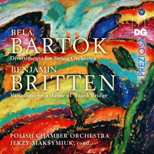 divertimento-bridge-variations-polish-chamber-orch_0001.JPG