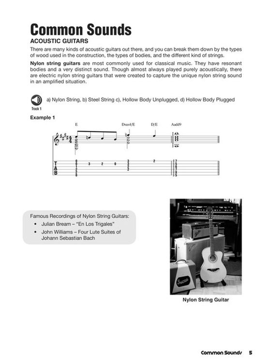 jake-hertzog-guitar-sound-effects-gtrtab-_notendow_0004.jpg