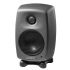 monitor-genelec-modell-8010-ap-schwarz-_0001.jpg