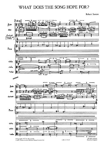 robert-saxton-what-does-the-song-hope-for-ges-ens-_0001.JPG