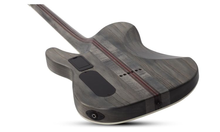 e-gitarre-schecter-modell-sls-elite-pt-evil-twin-s_0003.jpg